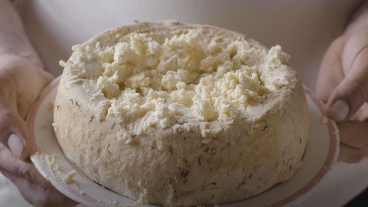 Queijo Casu Marzu