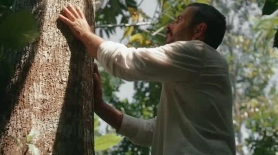 José Inocêncio em contato com o Jequitibá na novela (Foto: Reprodução/ TV Globo)