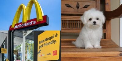 McDonald's com espaço pet friendly em todo o Brasil (Reprodução: Montagem TV Foco)