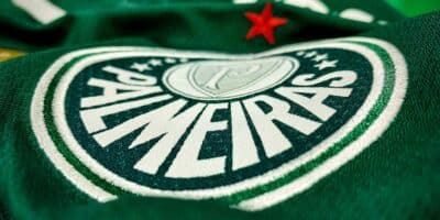 Palmeiras ainda briga pelo Brasileirão (Reprodução: Internet)