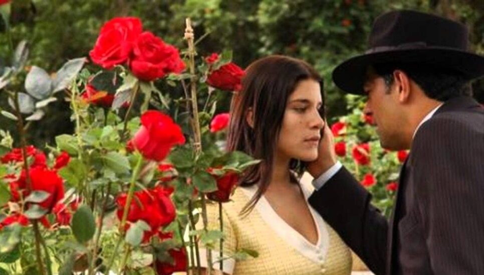 Amor de Rafael e Serena é corroborado (Foto: Reprodução/ Globo)