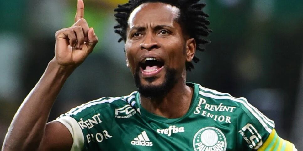 Zé Roberto, ex-craque do Palmeiras - (Foto: Internet)