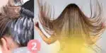 2 ingredientes alisam o cabelo (Foto: Reprodução / Canva / Montagem TV Foco)