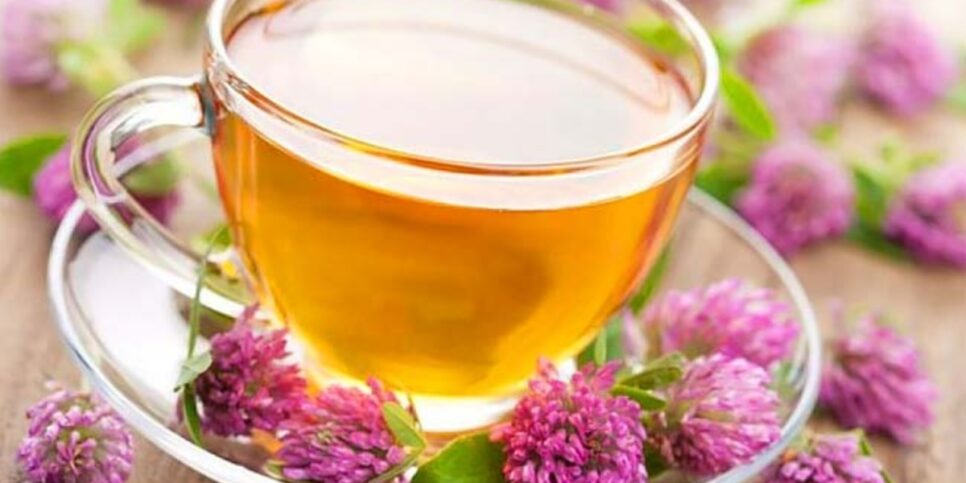 Chá de valeriana para dar fim ao calor da menopausa (Foto: Reprodução/ Internet)