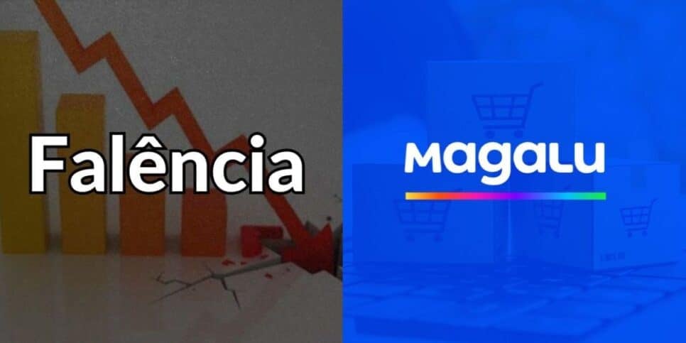 Falência e venda a Magalu (Foto: Internet)