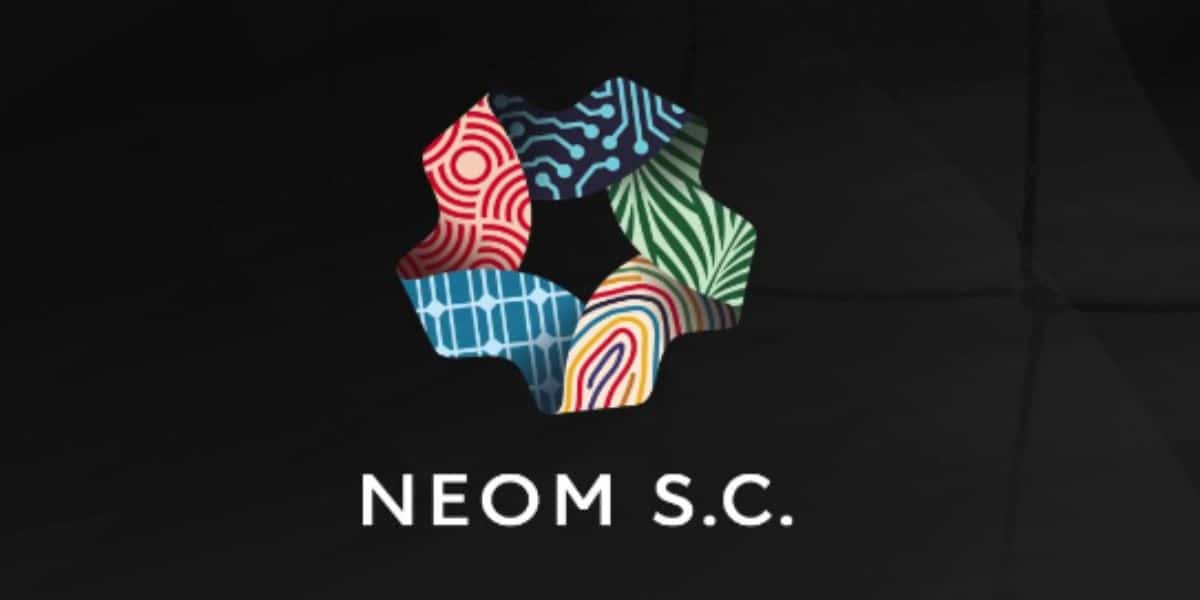 Neom deve ser o novo clube de Dudu (Reprodução: Internet)