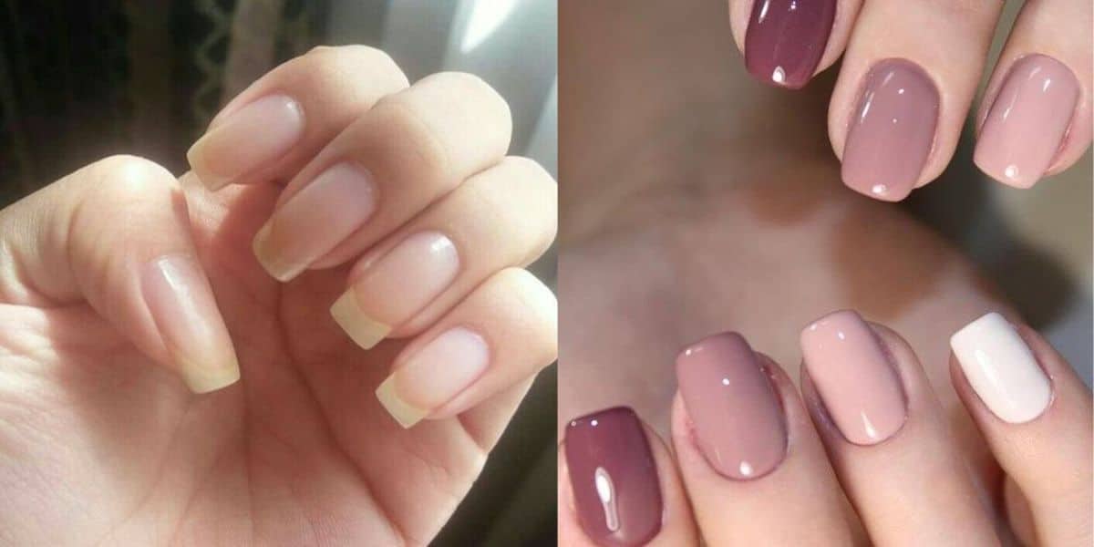 Veja essas 6 unhas que tornam as mulheres mais elegantes (Reprodução: Montagem TV Foco)