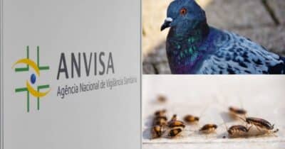 Barata, pombo e +: A interdição da Anvisa contra restaurante n°1  (Foto: Reprodução/ Internet)