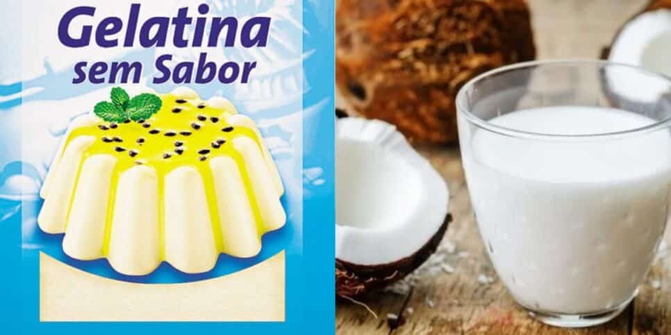 Colágeno caseiro com gelatina e leite de coco (Foto: Reprodução/ Internet)