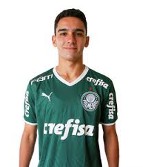 Figueiredo palmeiras (Reprodução - Internet)