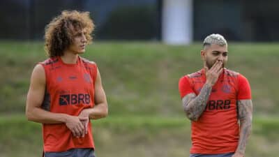 Gabigol e David Luiz (Foto: Marcelo Cortes/Flamengo)