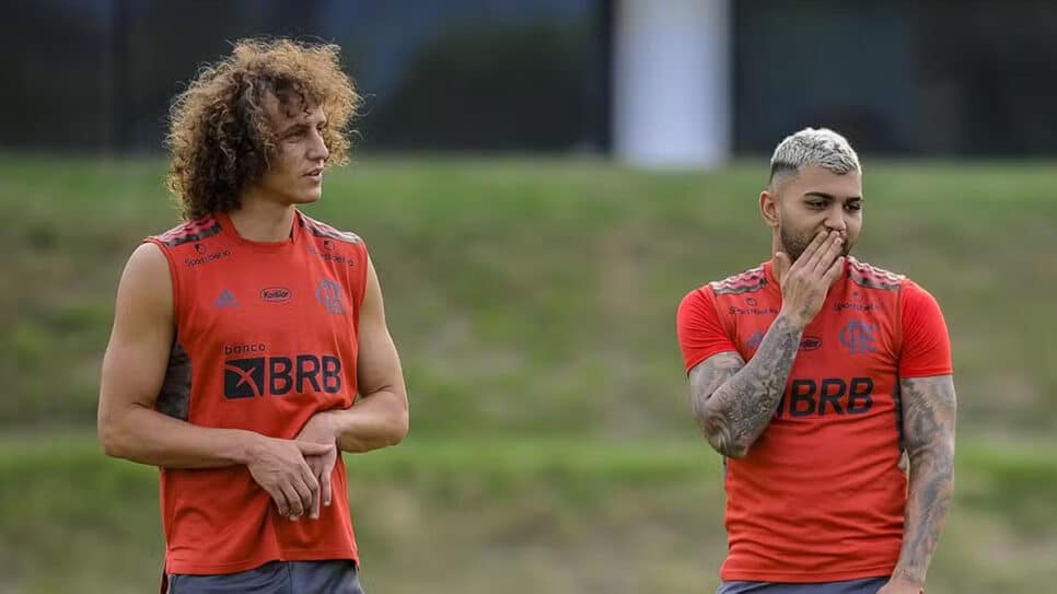 Gabigol e David Luiz (Foto: Marcelo Cortes/Flamengo)