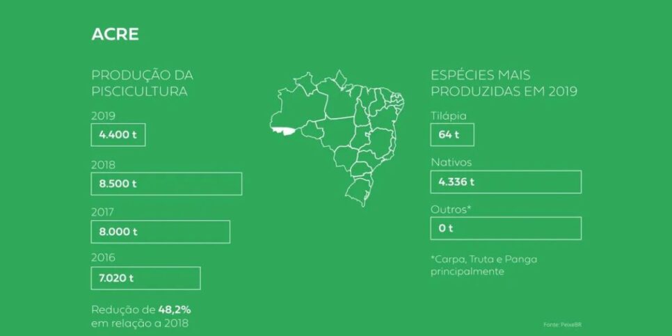 Após paralisação das atividades da empresa produção do Acre teve queda de quase 50% (Foto: Reprodução/Diário do Acre)