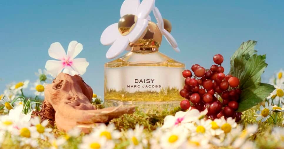 Perfume Daisy Marc Jacobs (Foto: Reprodução) 