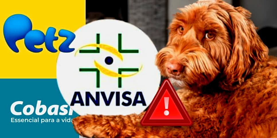 Petshops em todo o país, incluindo gigantes como a Cobasi e Petz são atingidos com novo decreto da ANVISA (Foto Reprodução/Montagem/Lennita/Tv Foco/Canva/ANVISA)