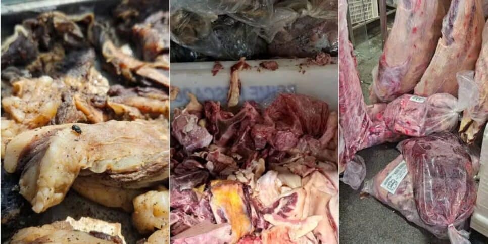 Carnes impróprias para consumo são descartadas por fiscais do Procon Goiás (Foto Reprodução/G1/Procon)