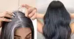 Receita para cabelo grisalho - Montagem: TVFOCO