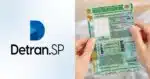 Detran-SP confirma o que está suspendendo CNHs  - (Montagem / TV FOCO)