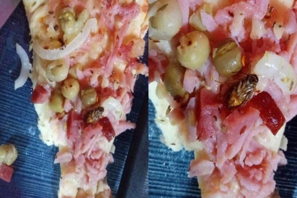 Barata encontrada em comida de pizzaria (Foto: Reprodução/ Internet)