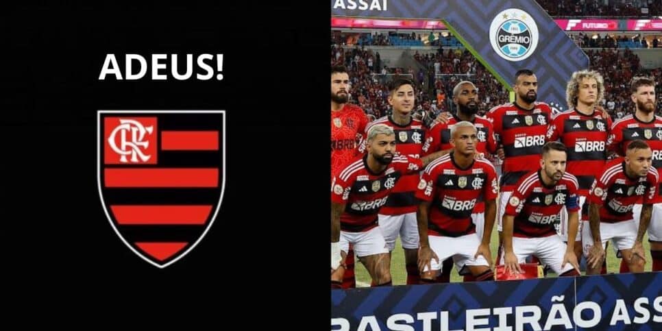 Adeus a duas joias do Flamengo (Foto: Internet)