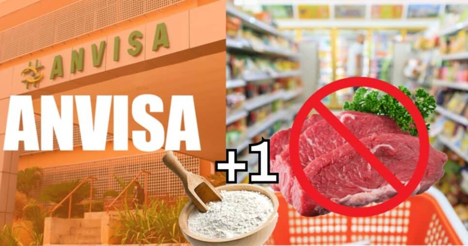 Anvisa faz proibição contra 3 marcas de farinha, carne e+1 produto (Foto: Reprodução/ Internet)