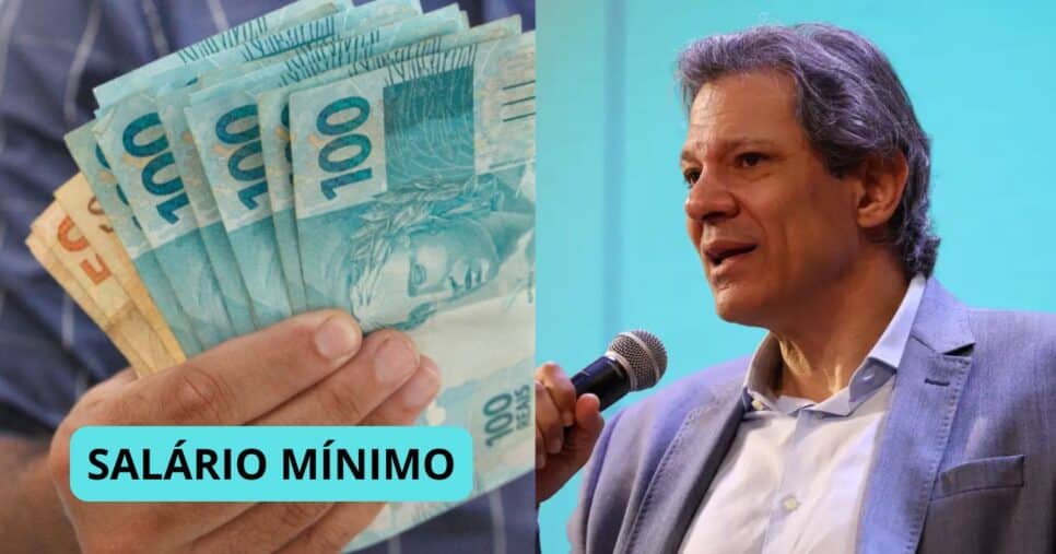 Salário mínimo / Fernando Haddad - Montagem: TVFOCO