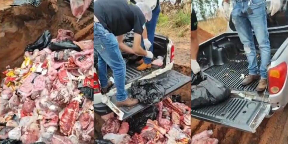 Vigilância descarta mais de uma tonelada de carne no lixo em Tocantins (Foto Reprodução/Montagem/Tv Foco/G1)