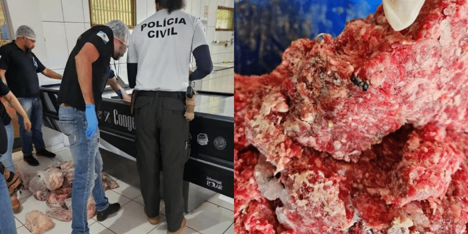 Vigilância Sanitária encontrou uma série de irregularidades, incluindo carnes em decomposição (Foto Reprodução/Montagem/TV Foco/G1