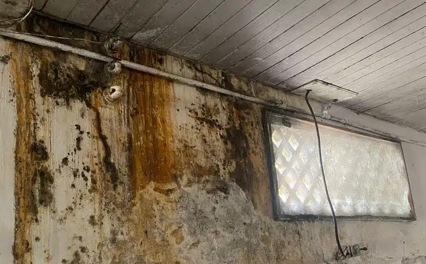 Panificação barrada pela Vigilância Sanitária - Foto: Internet