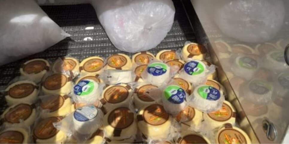 49 peças de queijo e 8 de ricota foram apreendidos pela Vigilância Sanitária (Foto Reprodução/YouTube)